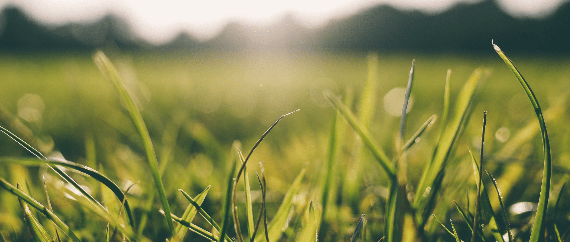 Quality Mental Health Outpatient Services